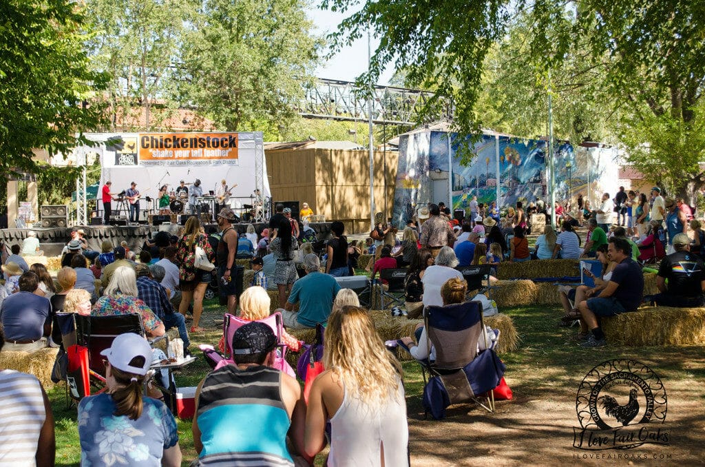 people gathered in fair oaks park for an outdoor concert at the 10th annual chicken festival