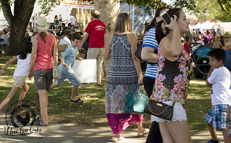 people enjoying the 10th annual chicken festival in fair oaks california 