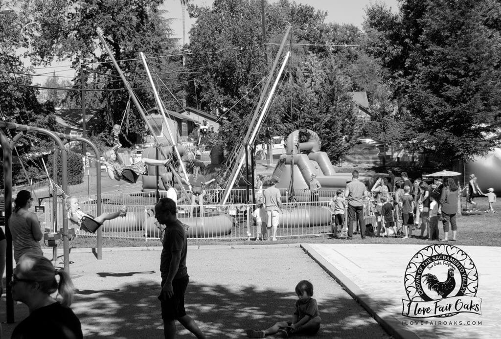 famlies and children enjoying activities in fair oaks california at the 10th annual chicken festival