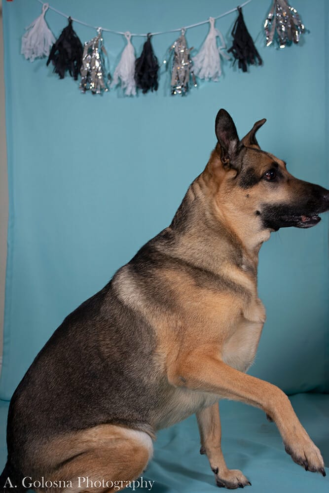 young woman wearing a tierra with her dog also wearing a tierra and getting a pet portrait
