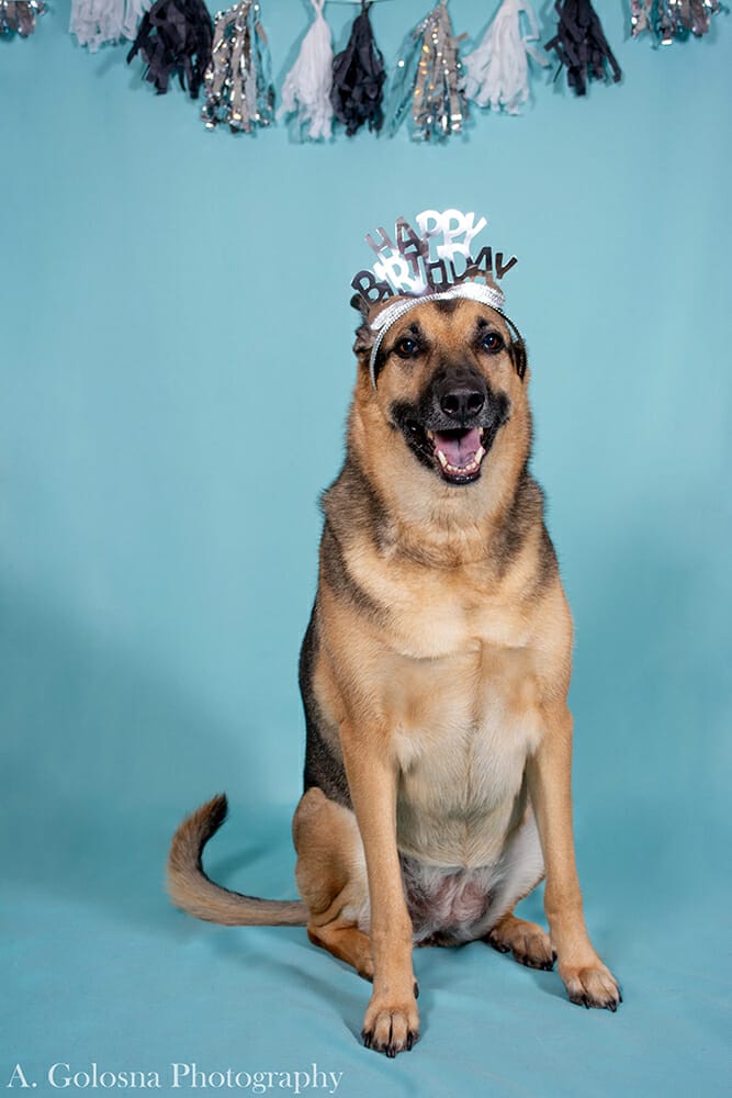 young woman wearing a tierra with her dog also wearing a tierra and getting a pet portrait