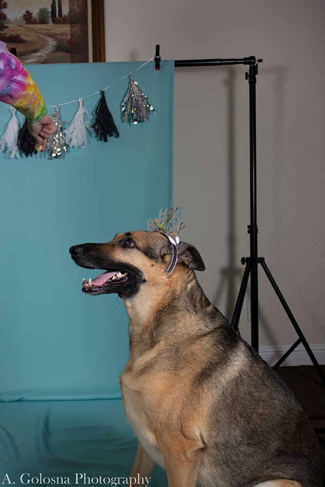 young woman wearing a tierra with her dog also wearing a tierra and getting a pet portrait