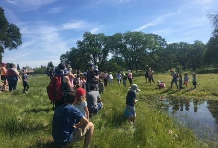 Vernal Pools Guided Tour