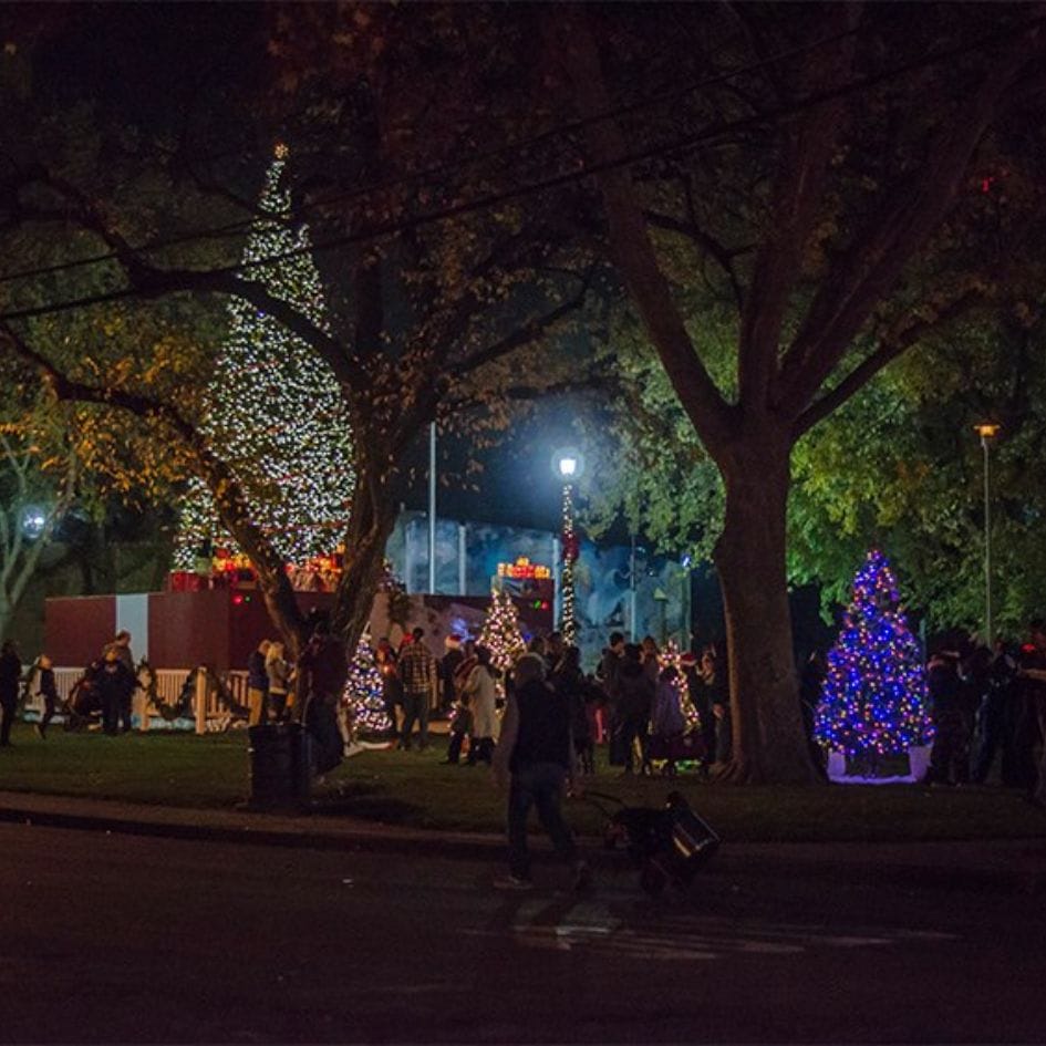 fair oaks village park with christmas trees