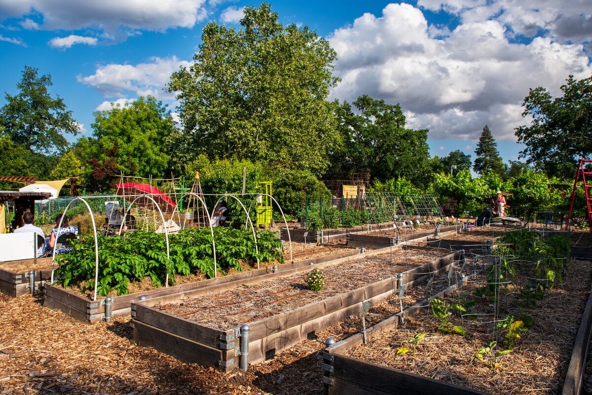 Fair Oaks Garden